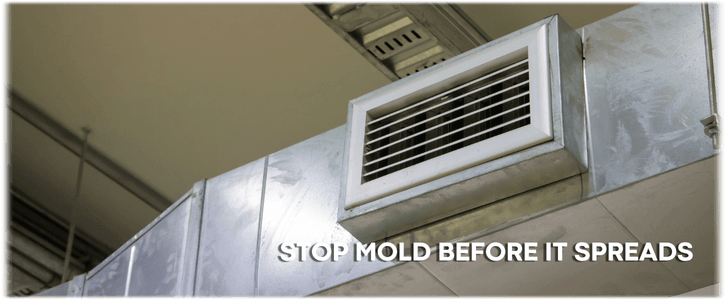 Air Duct Mold Removal in Marlboro NJ