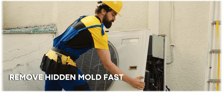HVAC Mold Removal Marlboro NJ